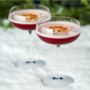 To cocktailglas med en rød drink toppet med en tørret citronskive, står på en hvid overflade, med en sløret grøn baggrund.