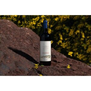 Le Difese 2023 – Toscana IGT rødvin fra Tenuta San Guido i 75 cl